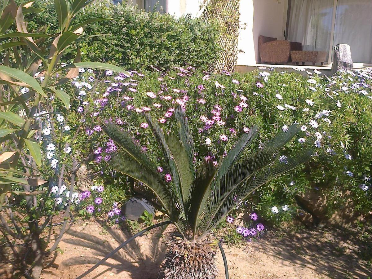 Apartament Leon Maleme Do 6 Os. Apartment Luaran gambar